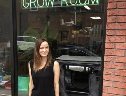 The Grow Room: Cultivating Plants and Passion in Nyack