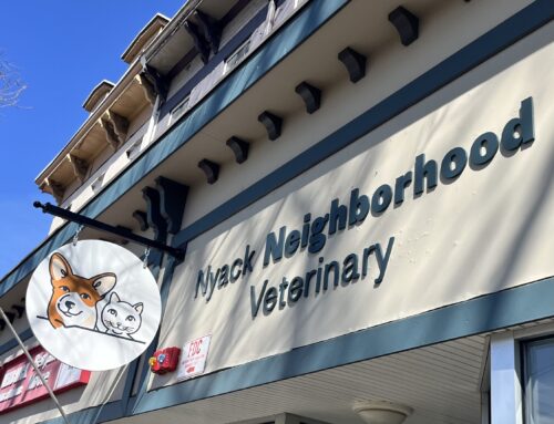 Nyack Neighborhood Veterinary